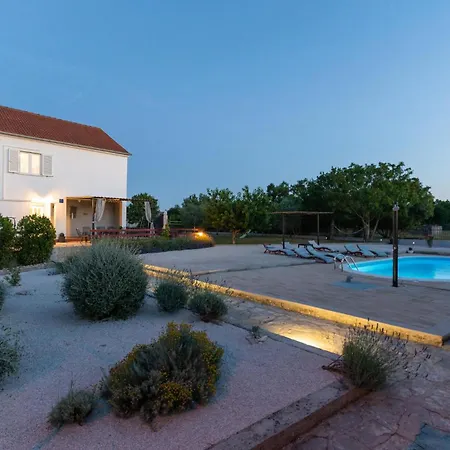 Pet Friendly In With Wifi *