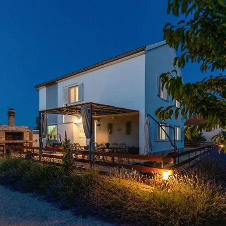 Pet Friendly In With Wifi